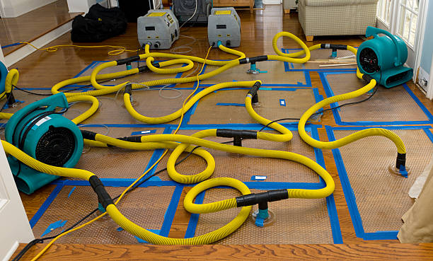 Professional Basement Flood Cleanup technician working in Brookfield, CT